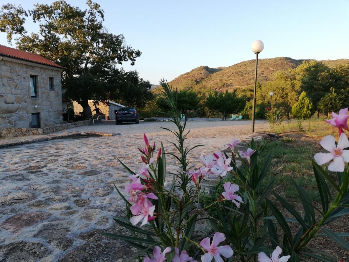 Quinta Dos Carvalhais - Serra Da Estrela Fornos de Algodres Exterior photo