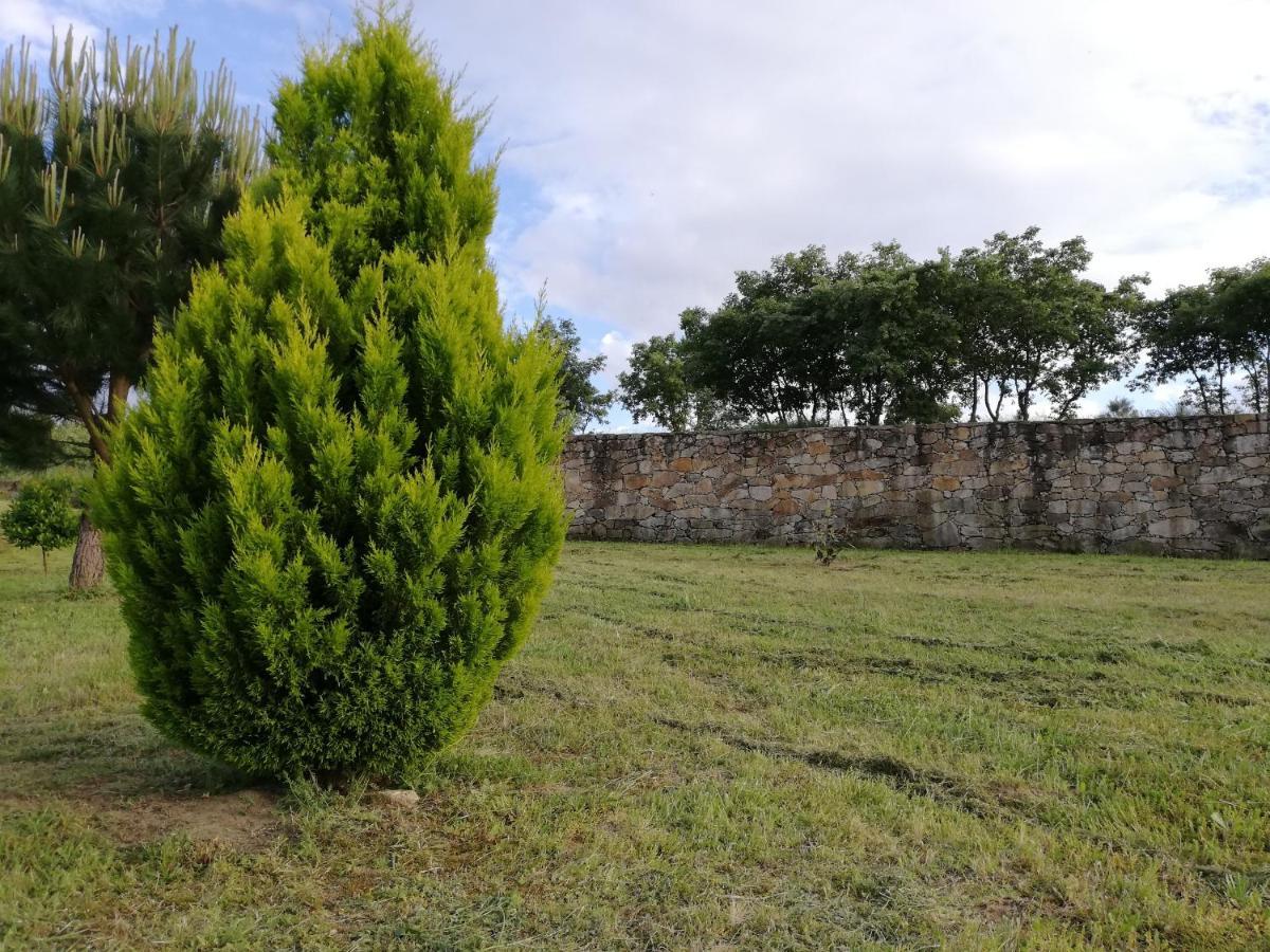 Quinta Dos Carvalhais - Serra Da Estrela Fornos de Algodres Exterior photo